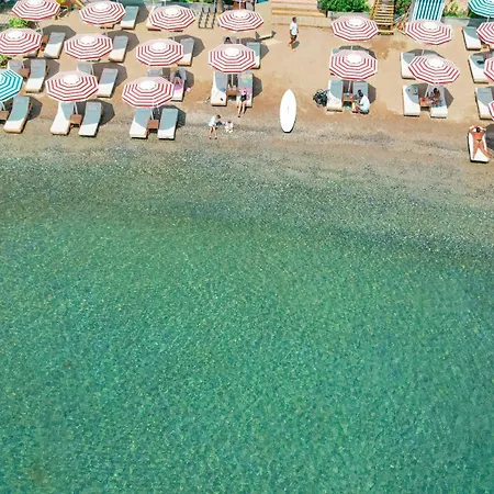 Отель Beachwood