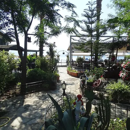 Отель Beachwood *